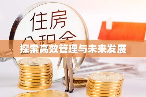 新宁探索高效管理与未来发展