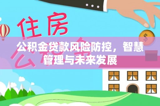新宁公积金贷款风险防控，智慧管理与未来发展