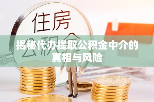 新宁揭秘代办提取公积金中介的真相与风险