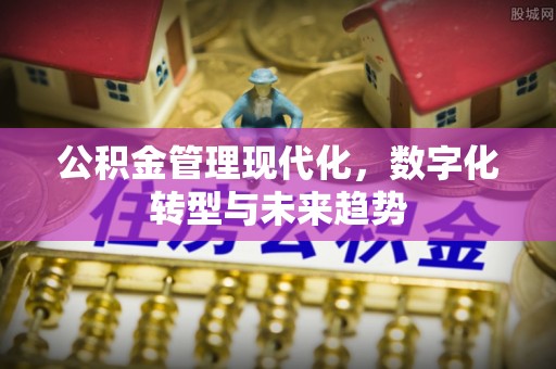 新宁公积金管理现代化，数字化转型与未来趋势