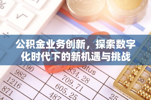 新宁公积金业务创新，探索数字化时代下的新机遇与挑战