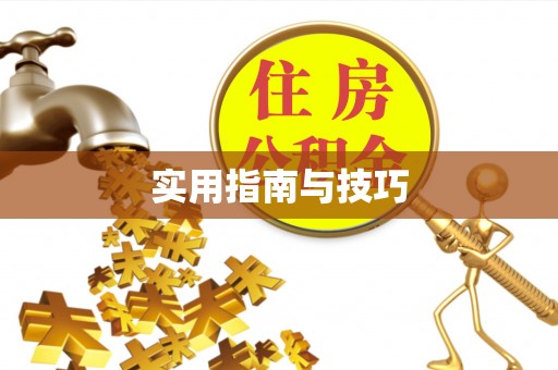 新宁实用指南与技巧