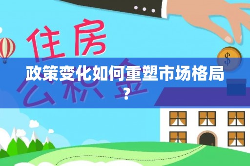 新宁政策变化如何重塑市场格局？