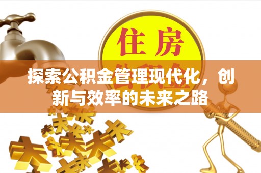 新宁探索公积金管理现代化，创新与效率的未来之路