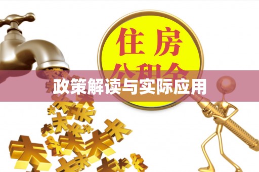 新宁政策解读与实际应用