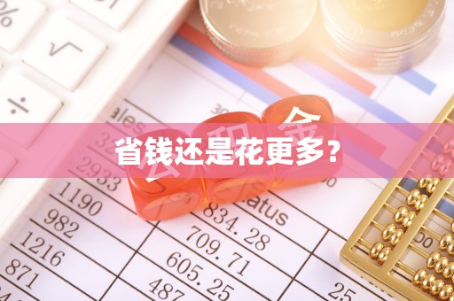新宁省钱还是花更多？