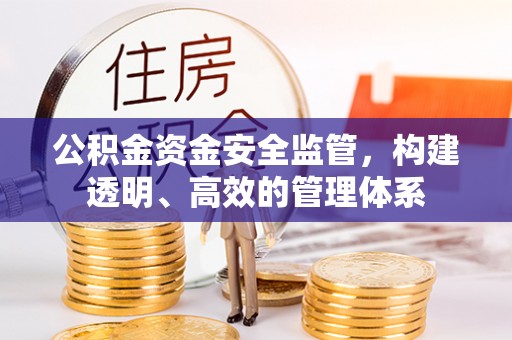 新宁公积金资金安全监管，构建透明、高效的管理体系