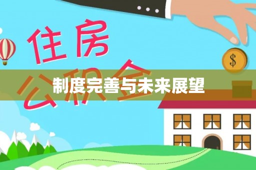 新宁制度完善与未来展望