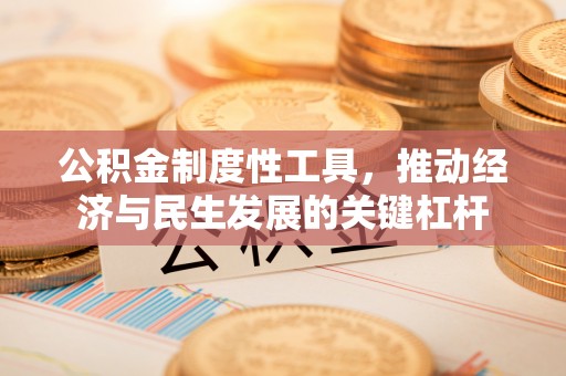 新宁公积金制度性工具，推动经济与民生发展的关键杠杆