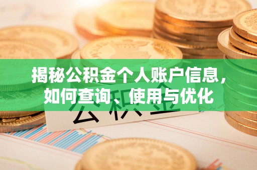 新宁揭秘公积金个人账户信息，如何查询、使用与优化