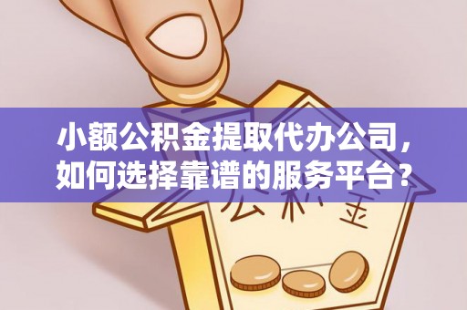 新宁小额公积金提取代办公司，如何选择靠谱的服务平台？