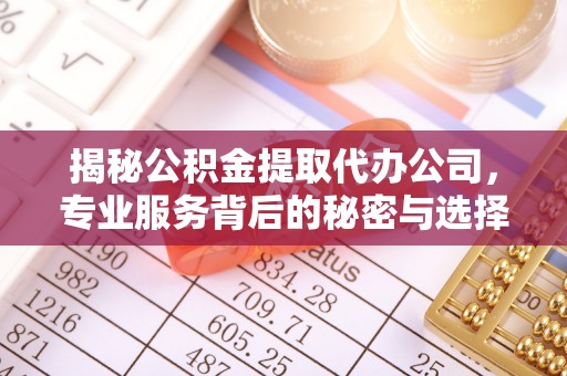 新宁揭秘公积金提取代办公司，专业服务背后的秘密与选择指南