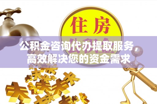 新宁公积金咨询代办提取服务，高效解决您的资金需求