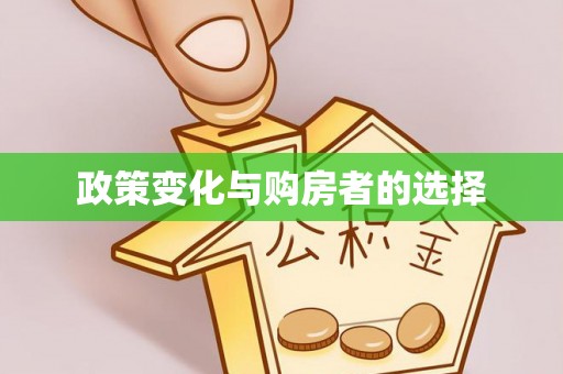新宁政策变化与购房者的选择