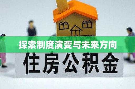 新宁探索制度演变与未来方向