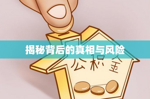 新宁揭秘背后的真相与风险