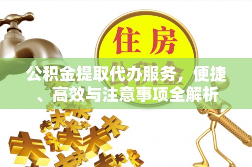 新宁公积金提取代办服务，便捷、高效与注意事项全解析