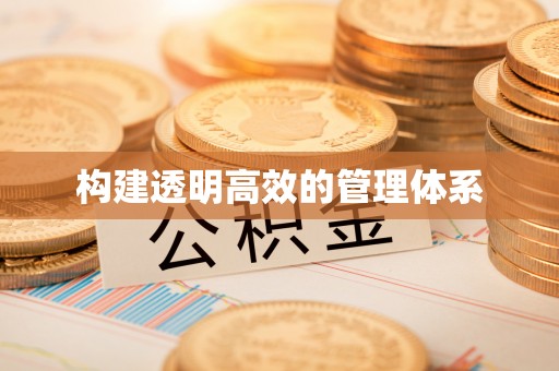 新宁构建透明高效的管理体系