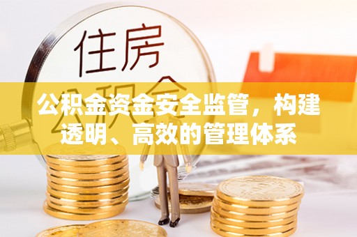 新宁公积金资金安全监管，构建透明、高效的管理体系