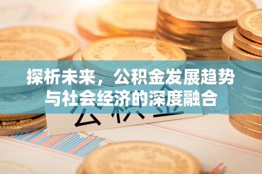新宁探析未来，公积金发展趋势与社会经济的深度融合