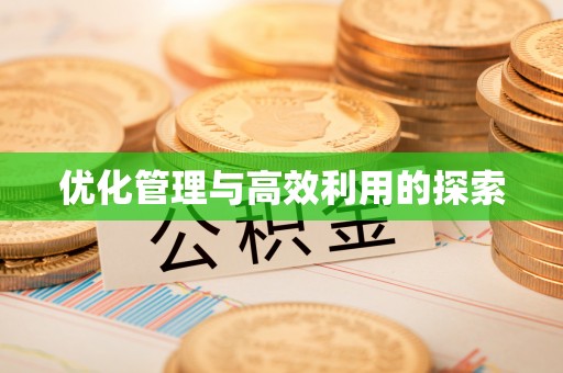 新宁优化管理与高效利用的探索