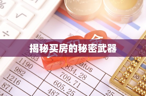 新宁揭秘买房的秘密武器
