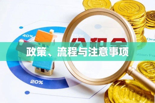 新宁政策、流程与注意事项