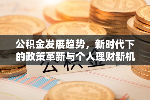 新宁公积金发展趋势，新时代下的政策革新与个人理财新机遇