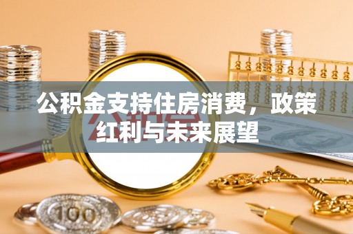 新宁公积金支持住房消费，政策红利与未来展望