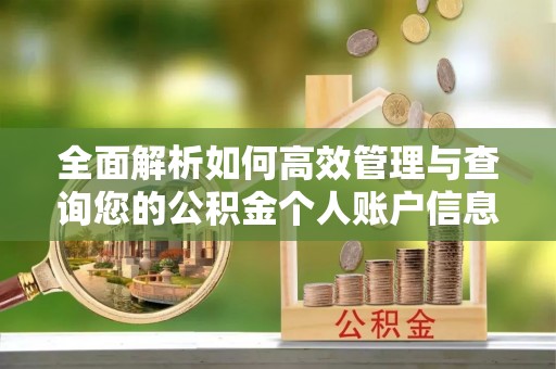 新宁全面解析如何高效管理与查询您的公积金个人账户信息