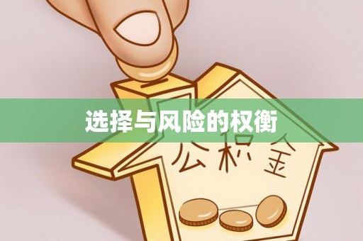 新宁选择与风险的权衡
