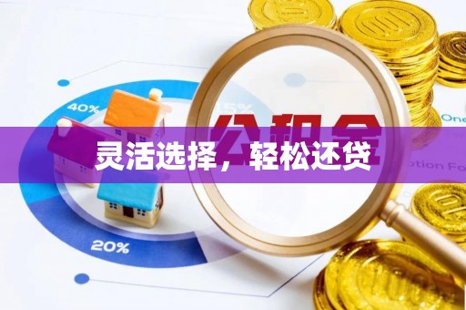 新宁灵活选择，轻松还贷