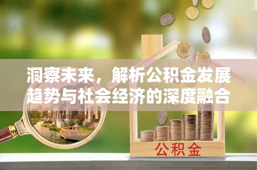 新宁洞察未来，解析公积金发展趋势与社会经济的深度融合