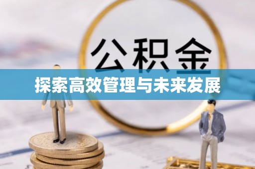 新宁探索高效管理与未来发展