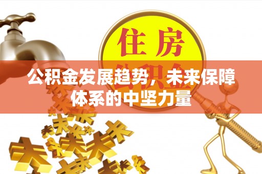 新宁公积金发展趋势，未来保障体系的中坚力量