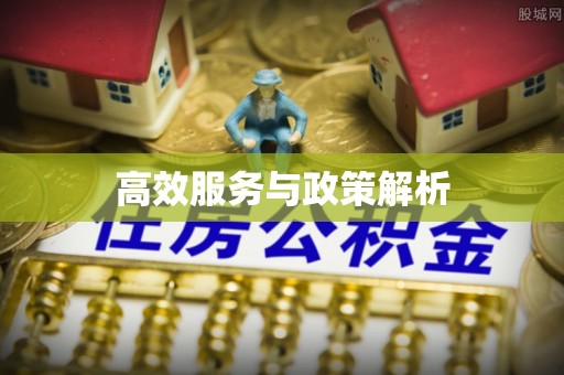 新宁高效服务与政策解析