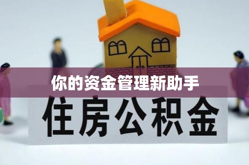 新宁你的资金管理新助手