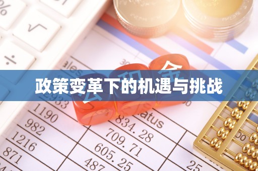 新宁政策变革下的机遇与挑战