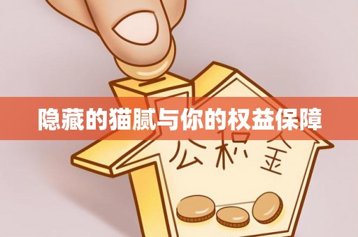新宁隐藏的猫腻与你的权益保障