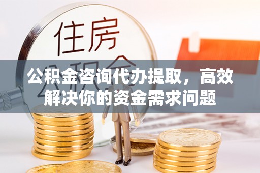新宁公积金咨询代办提取，高效解决你的资金需求问题
