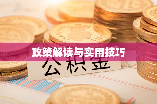 新宁政策解读与实用技巧