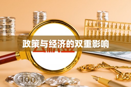 新宁政策与经济的双重影响