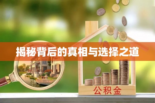 新宁揭秘背后的真相与选择之道