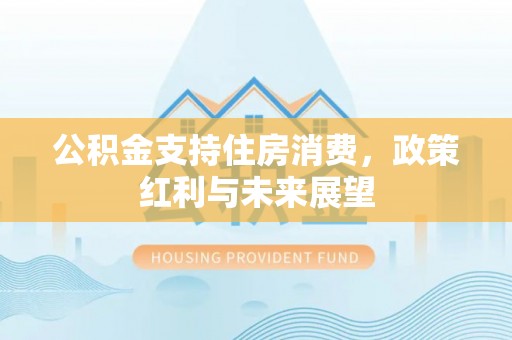 新宁公积金支持住房消费，政策红利与未来展望