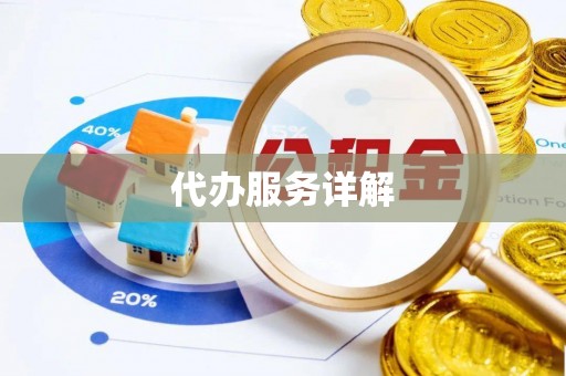 新宁代办服务详解