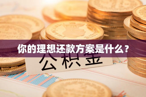 新宁你的理想还款方案是什么？