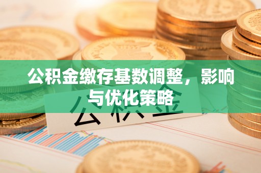 新宁公积金缴存基数调整，影响与优化策略