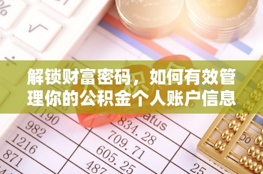 新宁解锁财富密码，如何有效管理你的公积金个人账户信息