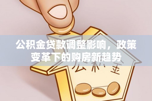新宁公积金贷款调整影响，政策变革下的购房新趋势
