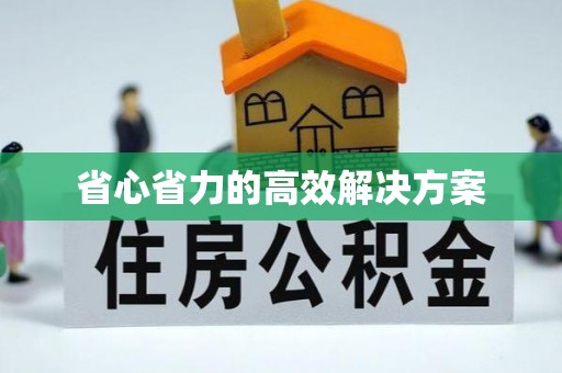 新宁省心省力的高效解决方案